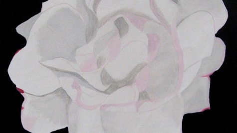 Maleri af lyserød og hvid rose på sort baggrund
