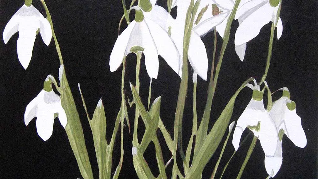 Painting of snowdrops on a black background