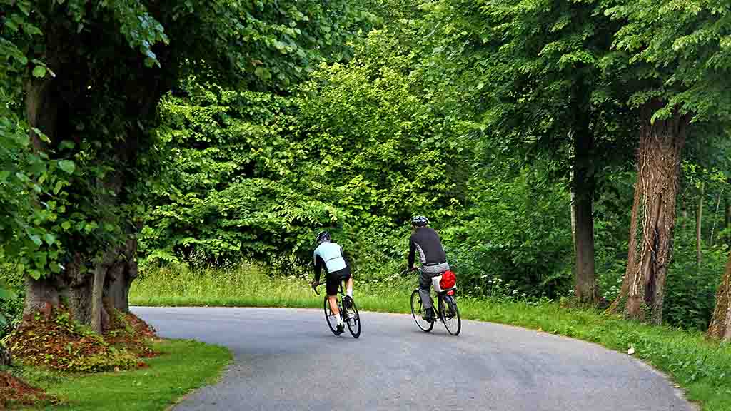 Two cyclists turn in a bend on the Castle route Nordfyn