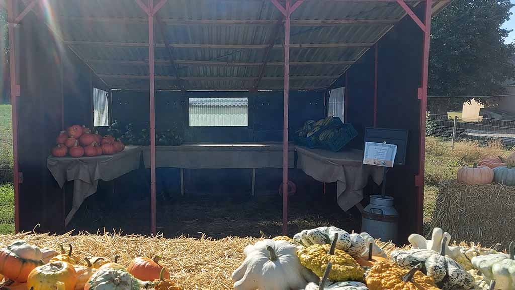 Kellebygårds Wejbod bei Søndersø auf Nordfünen