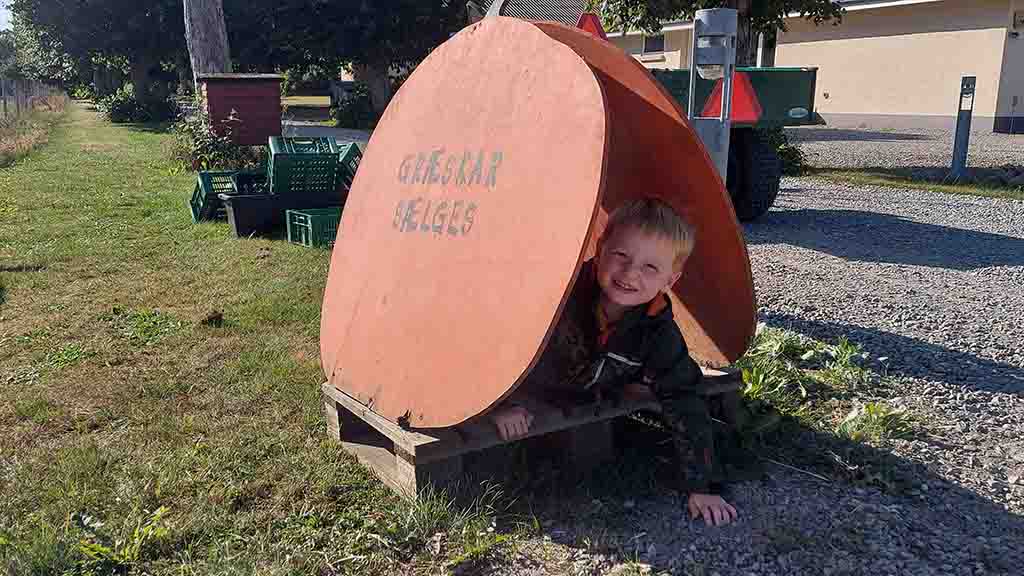 Schild „Kürbisse zum Verkauf“ am Straßenstand von Kellebygård