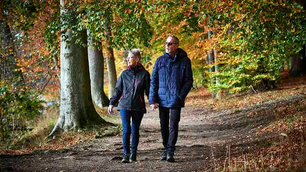 Elderly couple goes for a walk in the Langesø forest in autumn