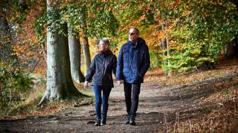 Ældre par går tur i Langesøskoven i efteråret