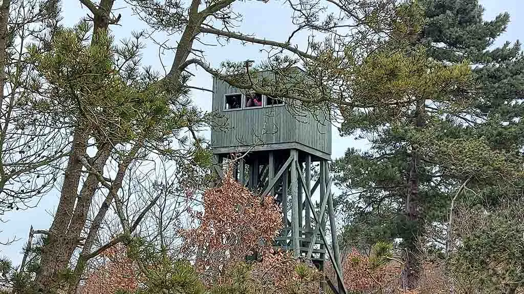 Bird watching tower at Agernæs and Flyvesandet in winter