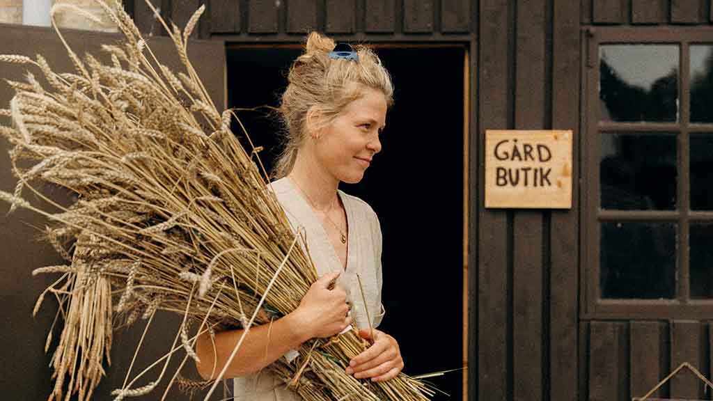 Einer von Vild Hvedes Besitzern mit einer Getreideegge