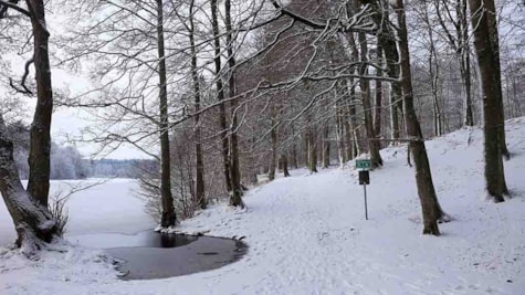 Langesø i december med sne på stien og is i søen