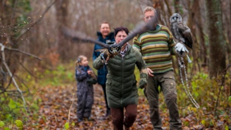 En gruppe går tur i skoven med ugler