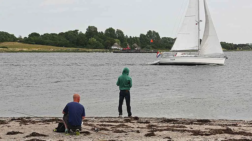 Fsikere foran Gabet ved Odense Fjord