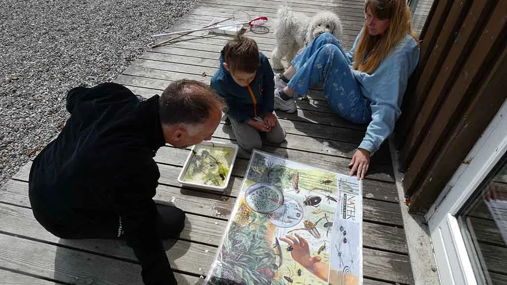 Family uses equipment to find insects and observe aquatic life at Gyldensteen Beach.