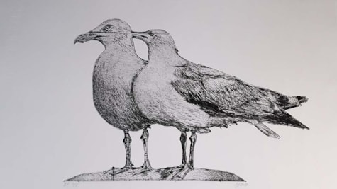 Das Werk „Seagulls“ von Marianne Lindberg Jepsen