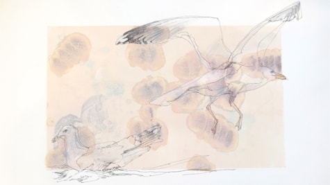 Værket "Måger" med farve af Marianne Lindberg Jepsen