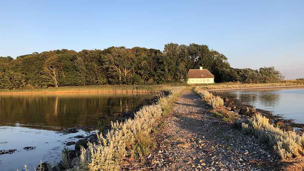 Family trip to the bird island Vigelsø