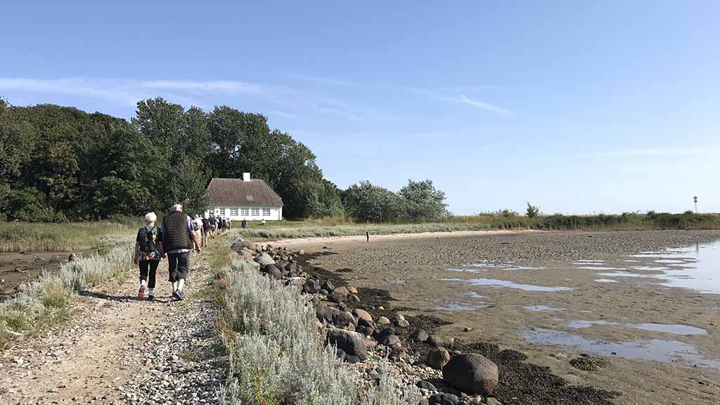 Family trip to the bird island Vigelsø