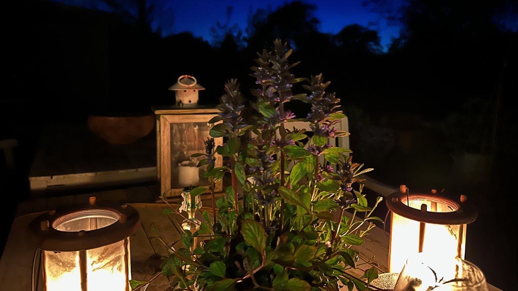 Lanterns at sunset at Æbelø B&B