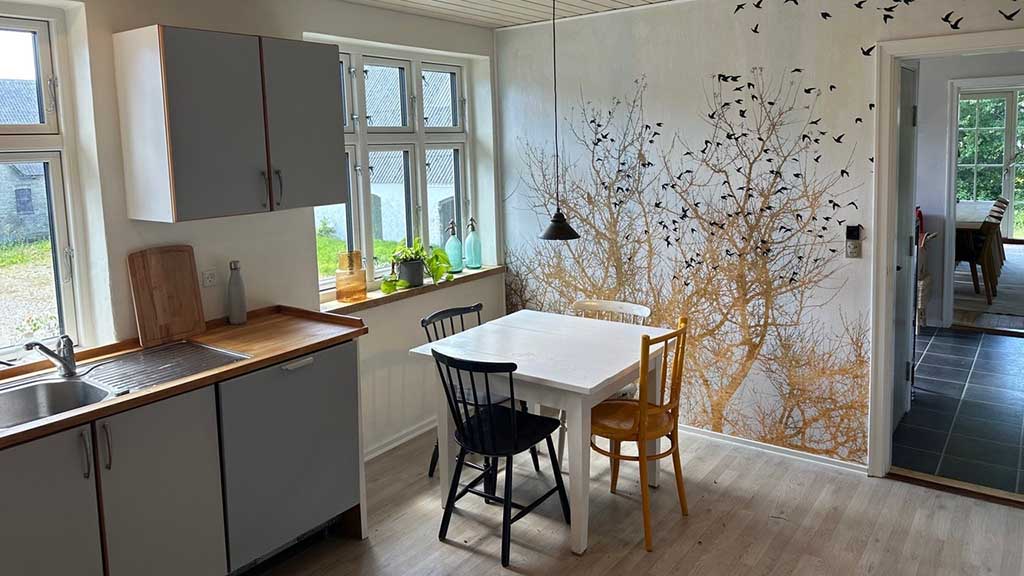 Kitchen at Æbelø Nature Therapy