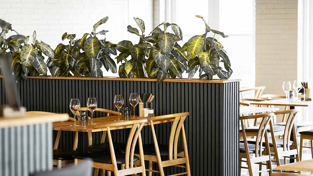 Barpladser og planter på Cafe Den Gamle Havn i Bogense