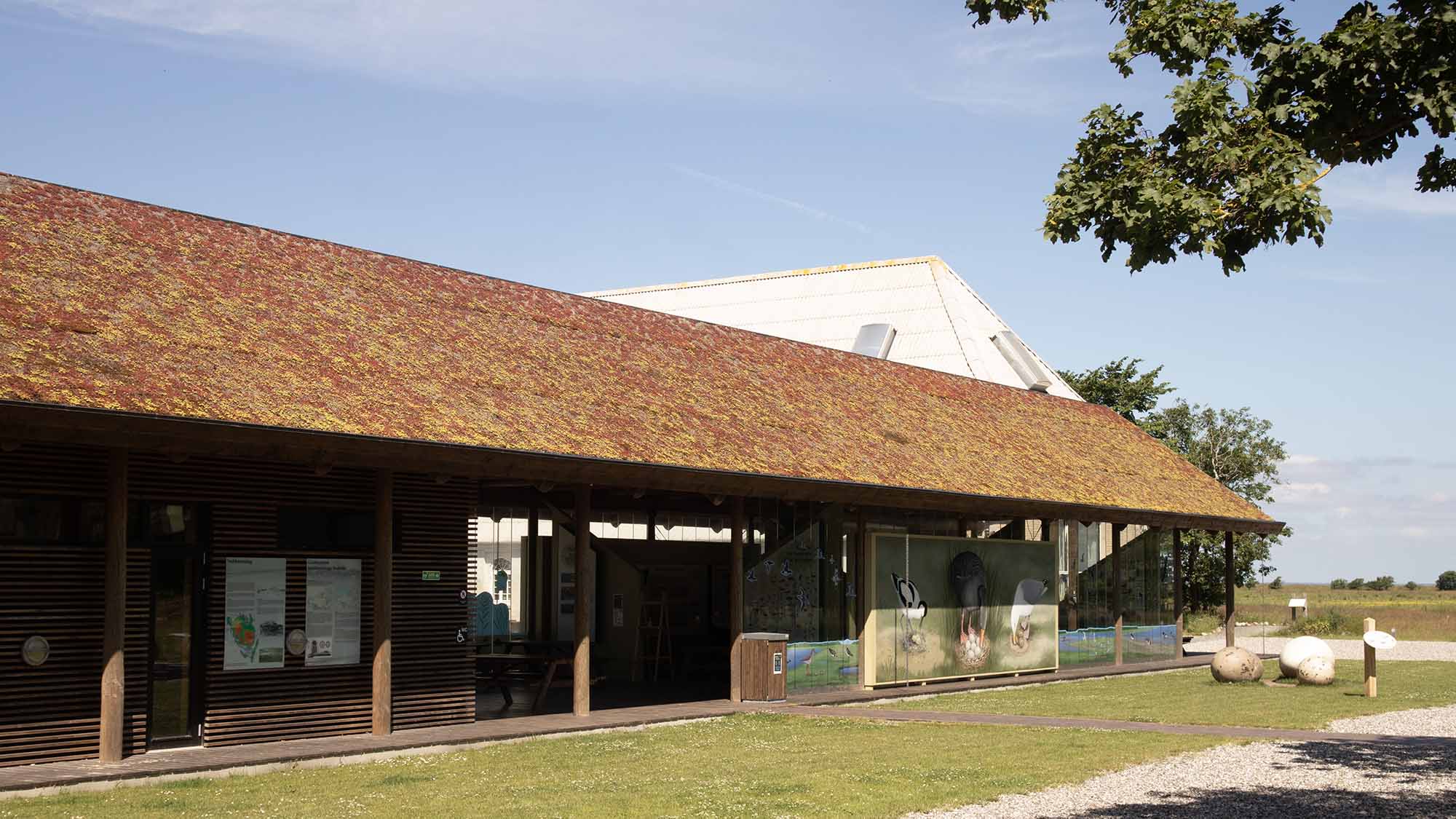 Naturraum am Gyldensteen Strand bei Bogense