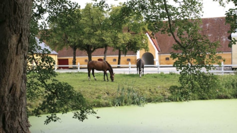 Kærsgaard Transportmuseum på Fyn