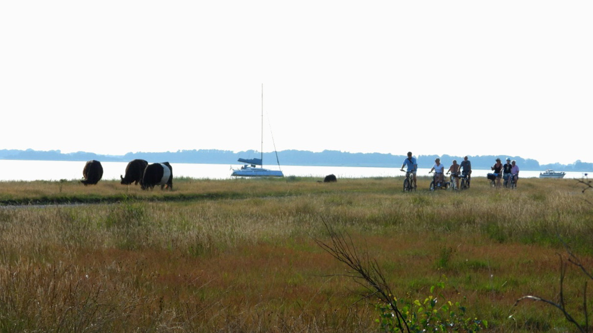 Path on Enebærodde along Odense Fjord and the Kattegat for biking and hiking