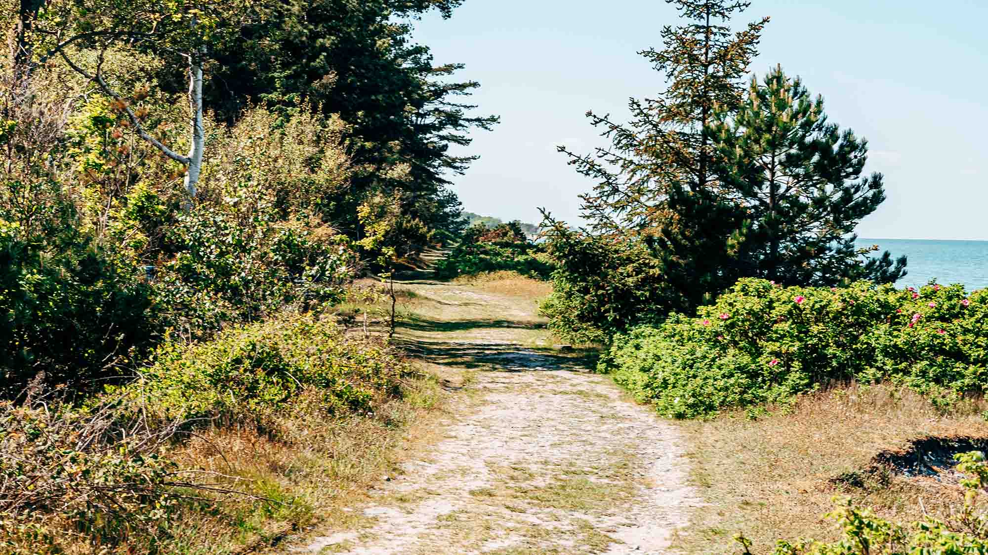 Path on Enebærodde along Odense Fjord and the Kattegat for biking and hiking