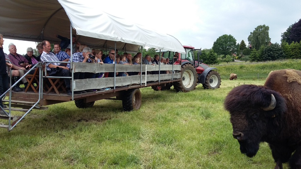 Guidet rundvisning i prærievogn