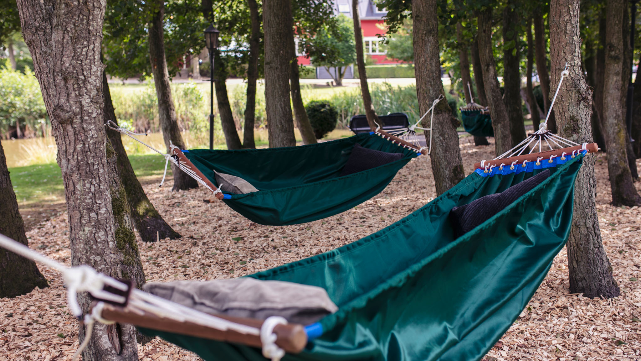 Fjelsted Skov Hotel & Konference on Funen