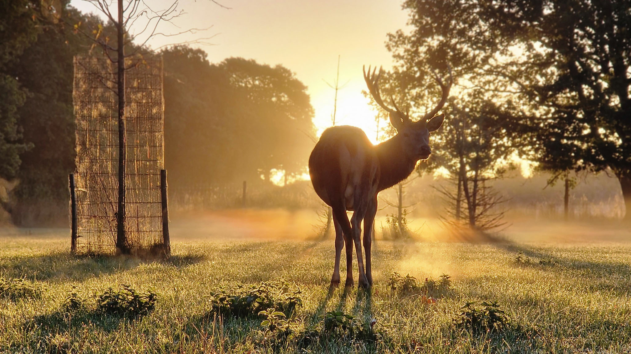 Fjelsted Skov Hotel & Konference on Funen
