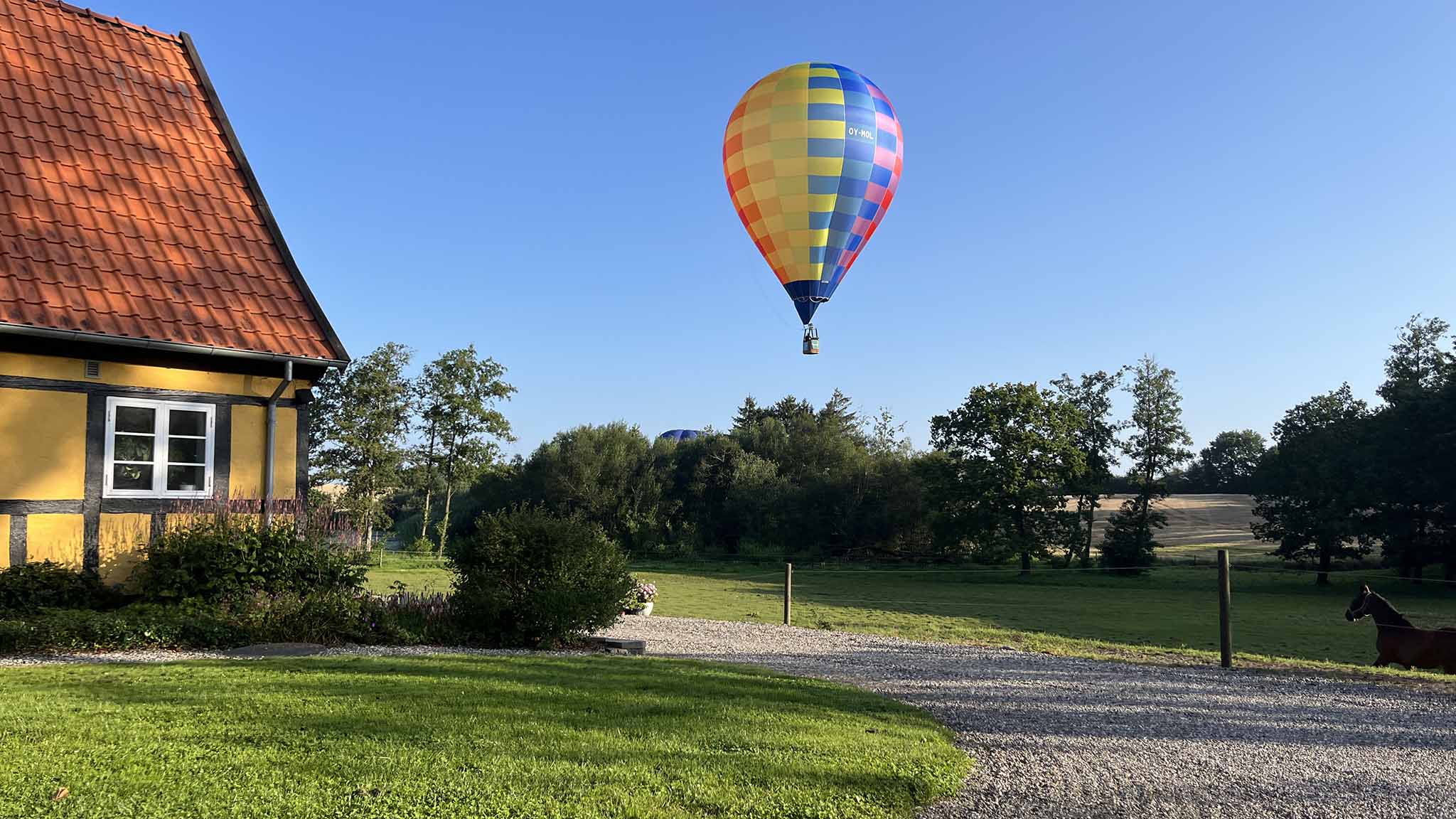 DreamBalloon Cup