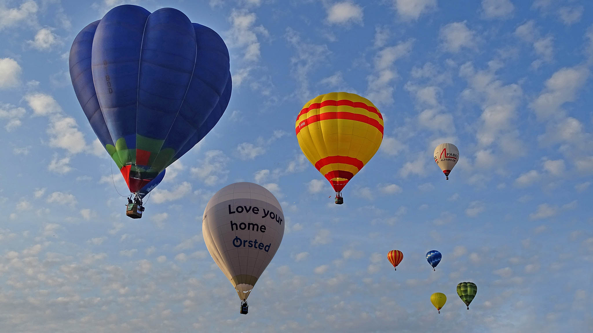 DreamBalloon Cup