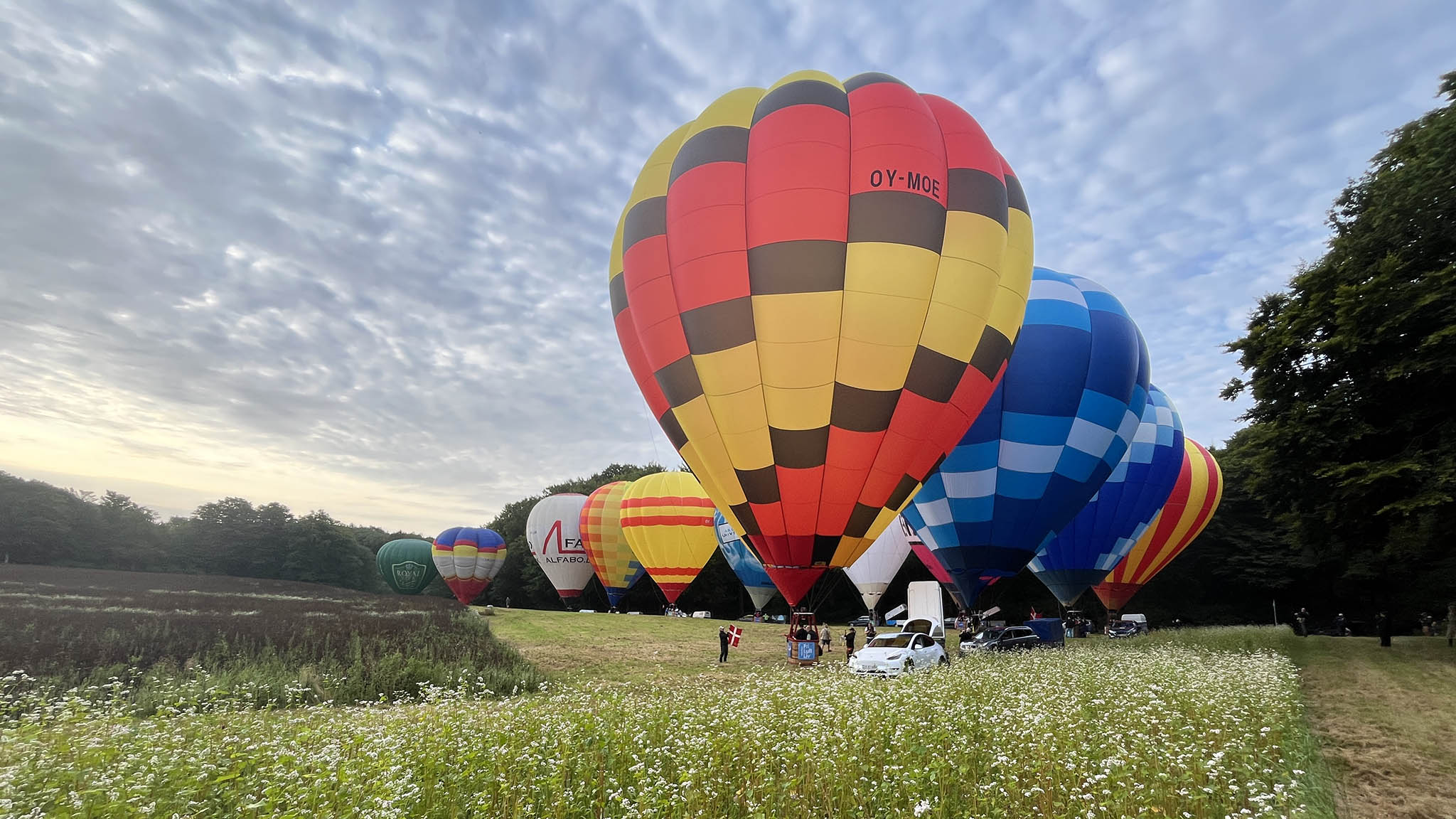 DreamBalloon Cup