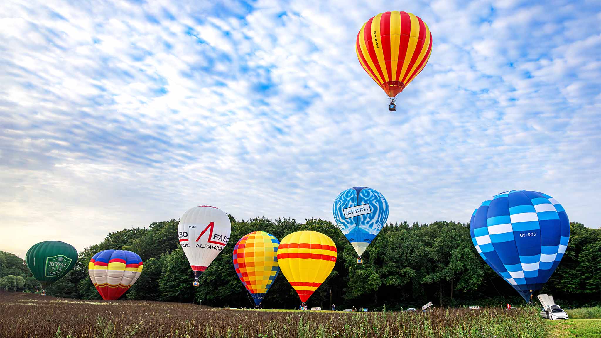 DreamBalloon Cup
