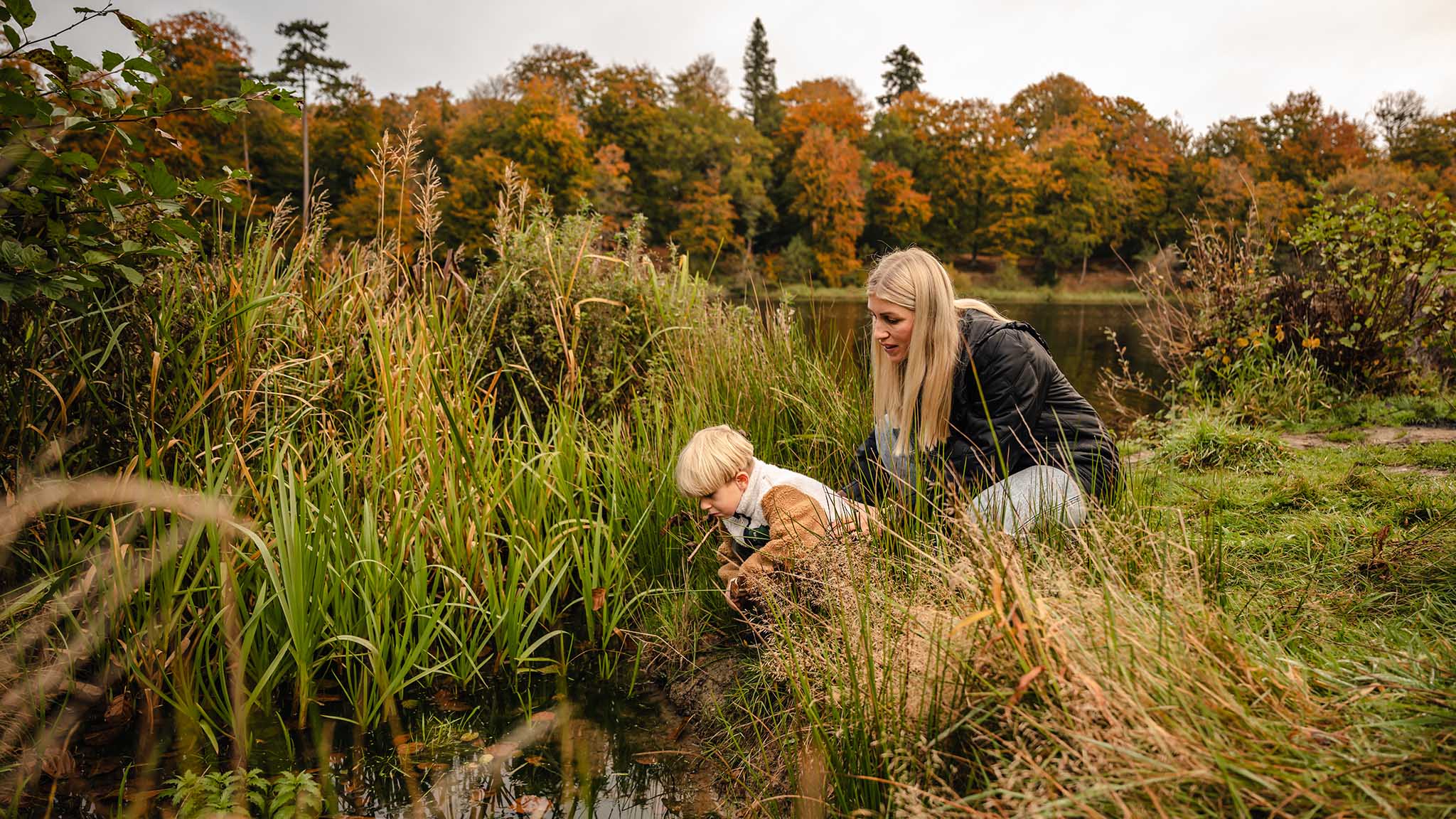 Efterår ved Langesø i Morud