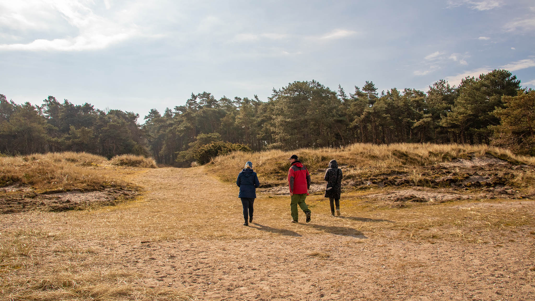 bei einem Spaziergang am Flyvesandet-Strand im Winter und Herbst
