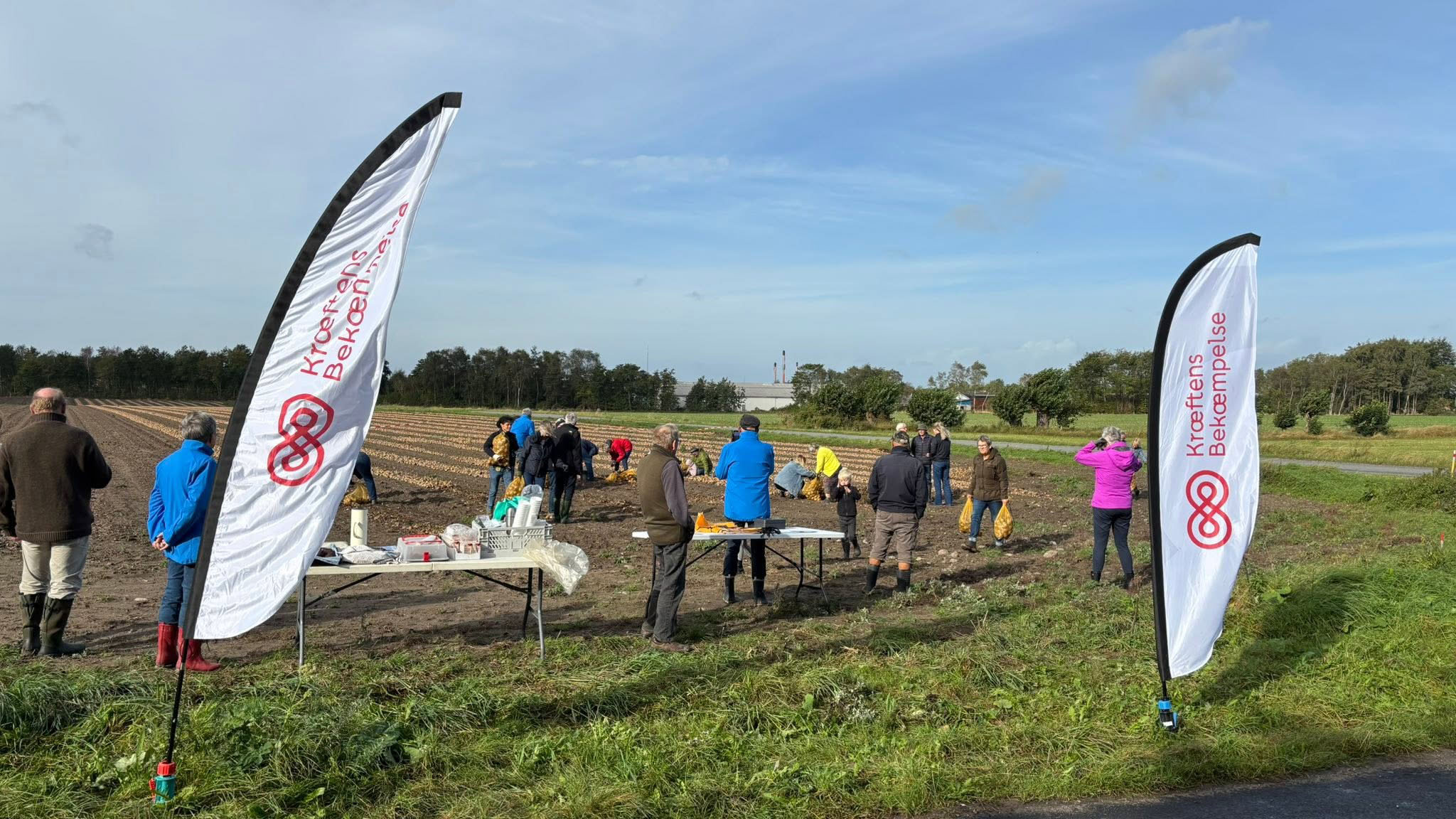 Onion Gleaning Day, Hasmark Vestergaard, Knæk Cancer (Break Cancer), North Funen activities, local produce