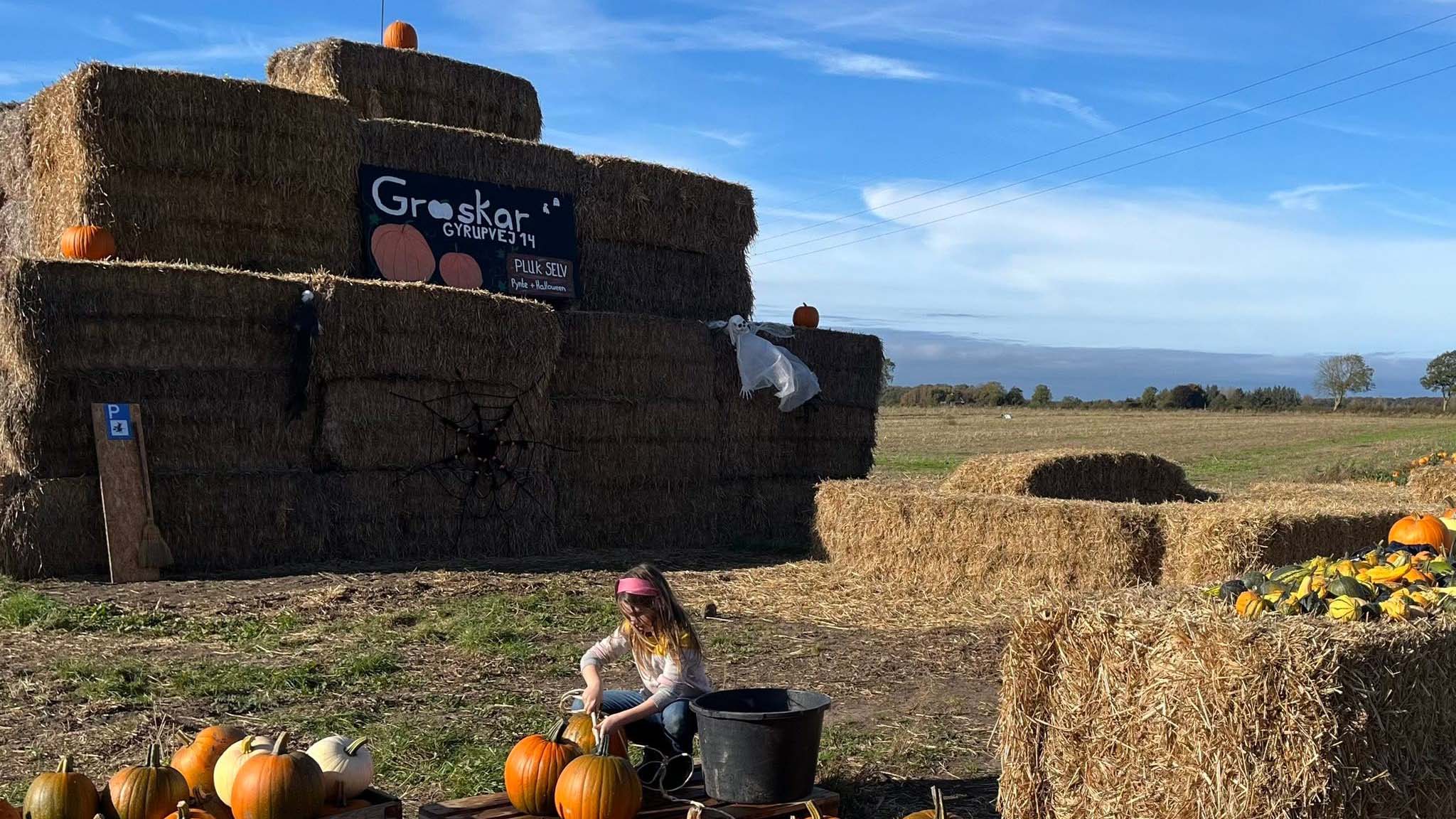 Gyrup Halloween Græskar