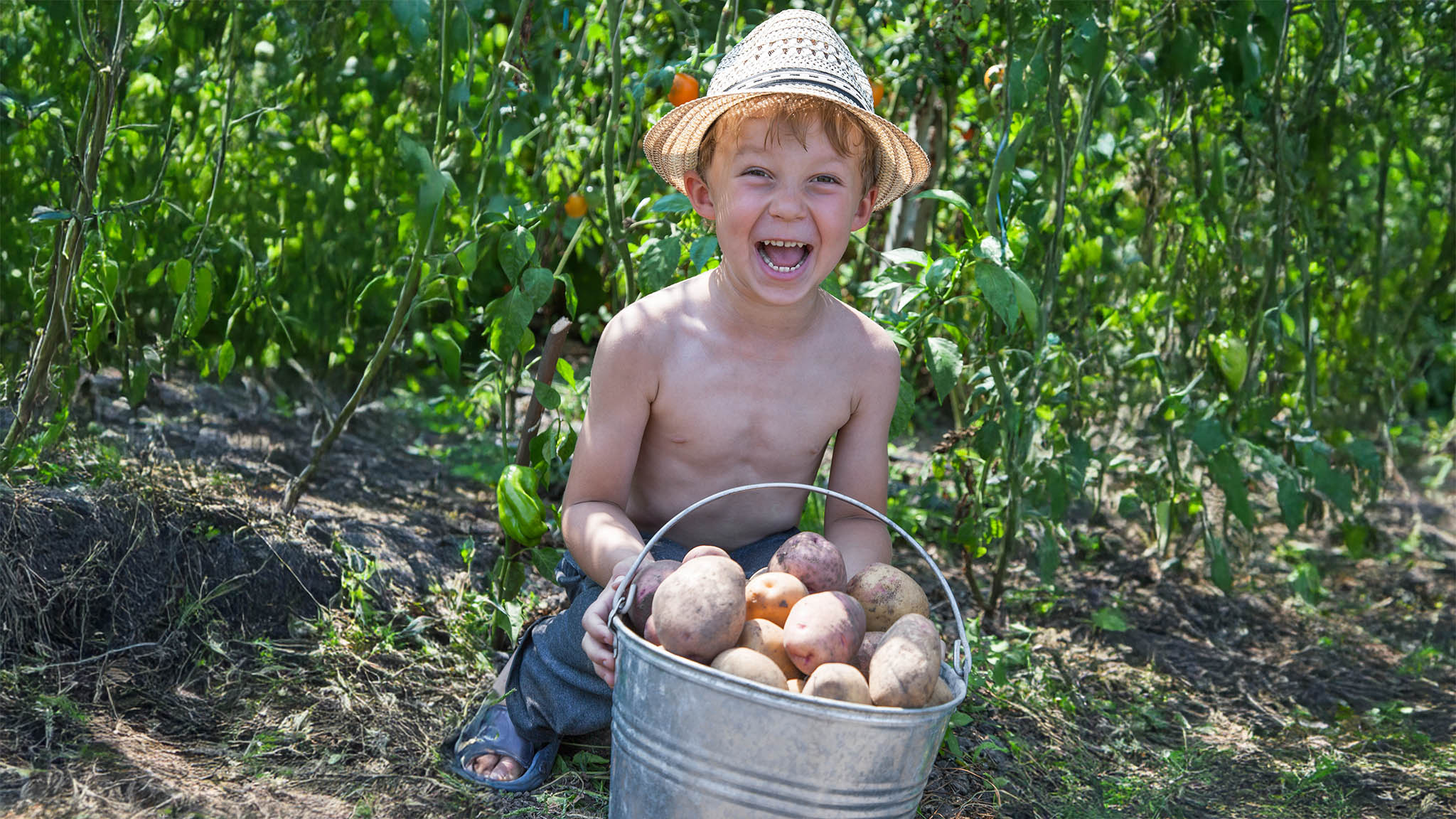 Boy with potatoes