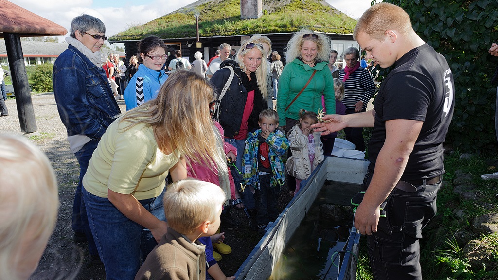 Fjord Day at Klintebjerg