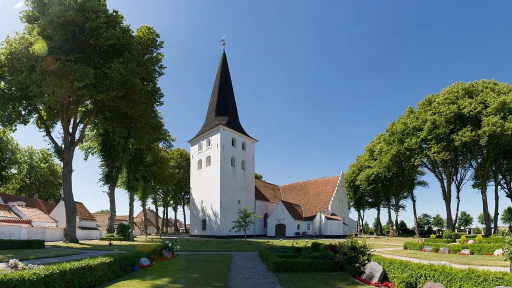 Bogense church's tower with oak shavings