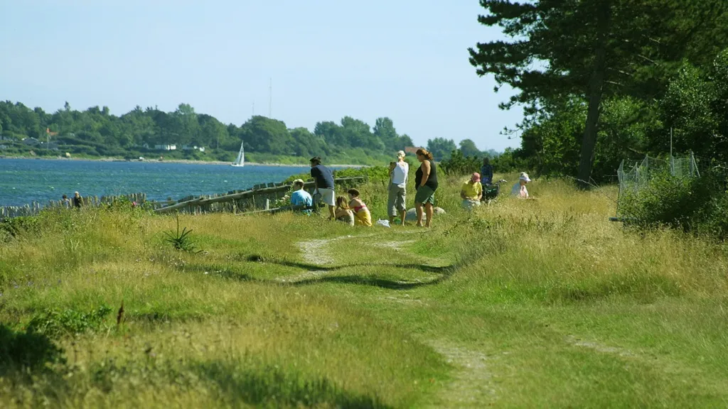 The view from Enebærodde to Lodshuse on the other side of Odense Fjord