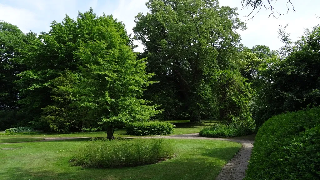 Tall, green and lush trees in Hofmansgave Park