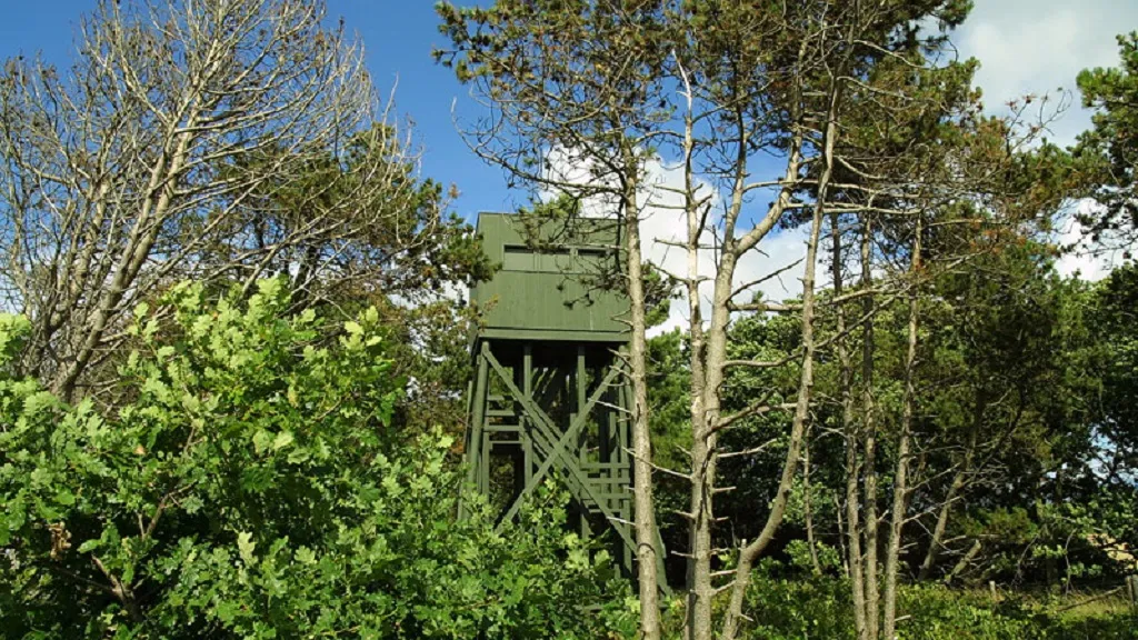 The bird observation tower at Agernæs and Flyvesandet