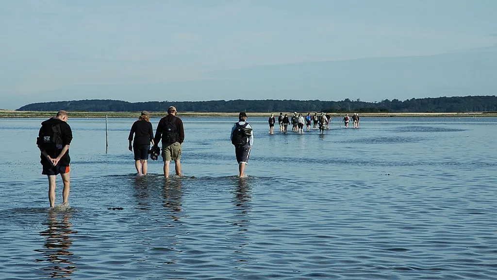 People walk along the ebb tide path to Æbeløholm