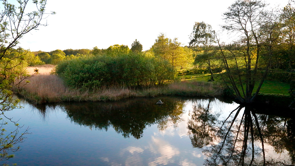 Sulkendrup Mølle, mill