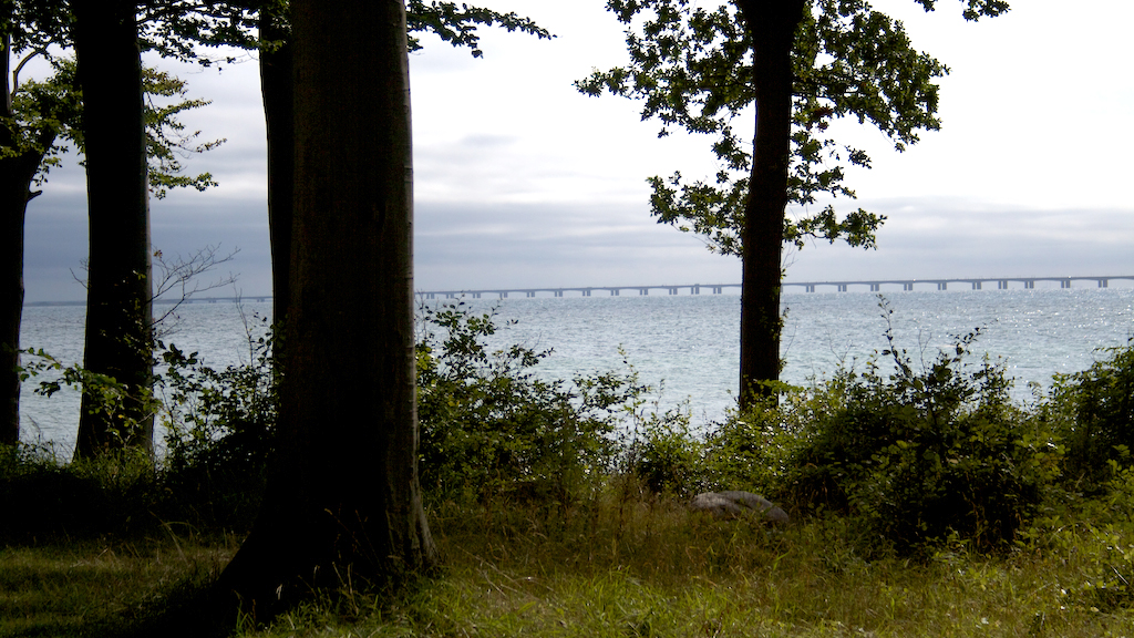 Tilework Forest and Strandhøj (6 km)
