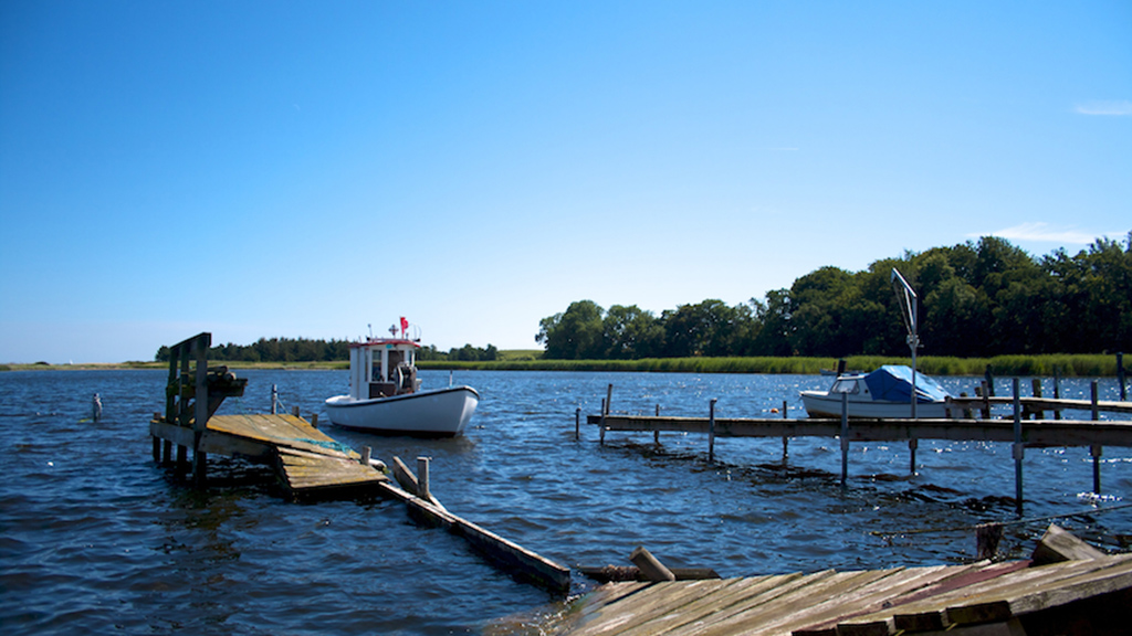 Holckenhavn Fjord and Vindinge Å river (9,9 km)