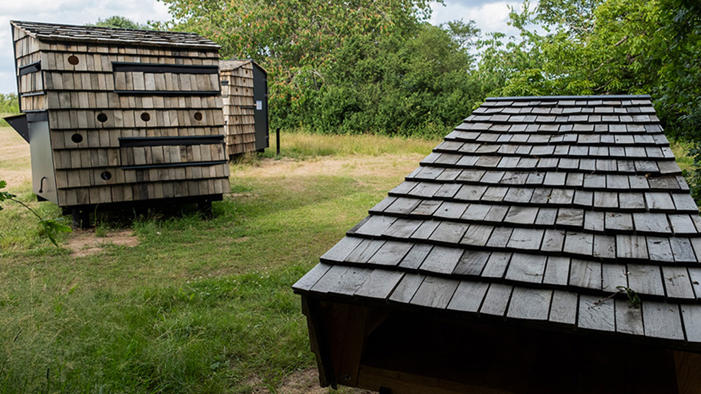 Shelter ved Grønnehave