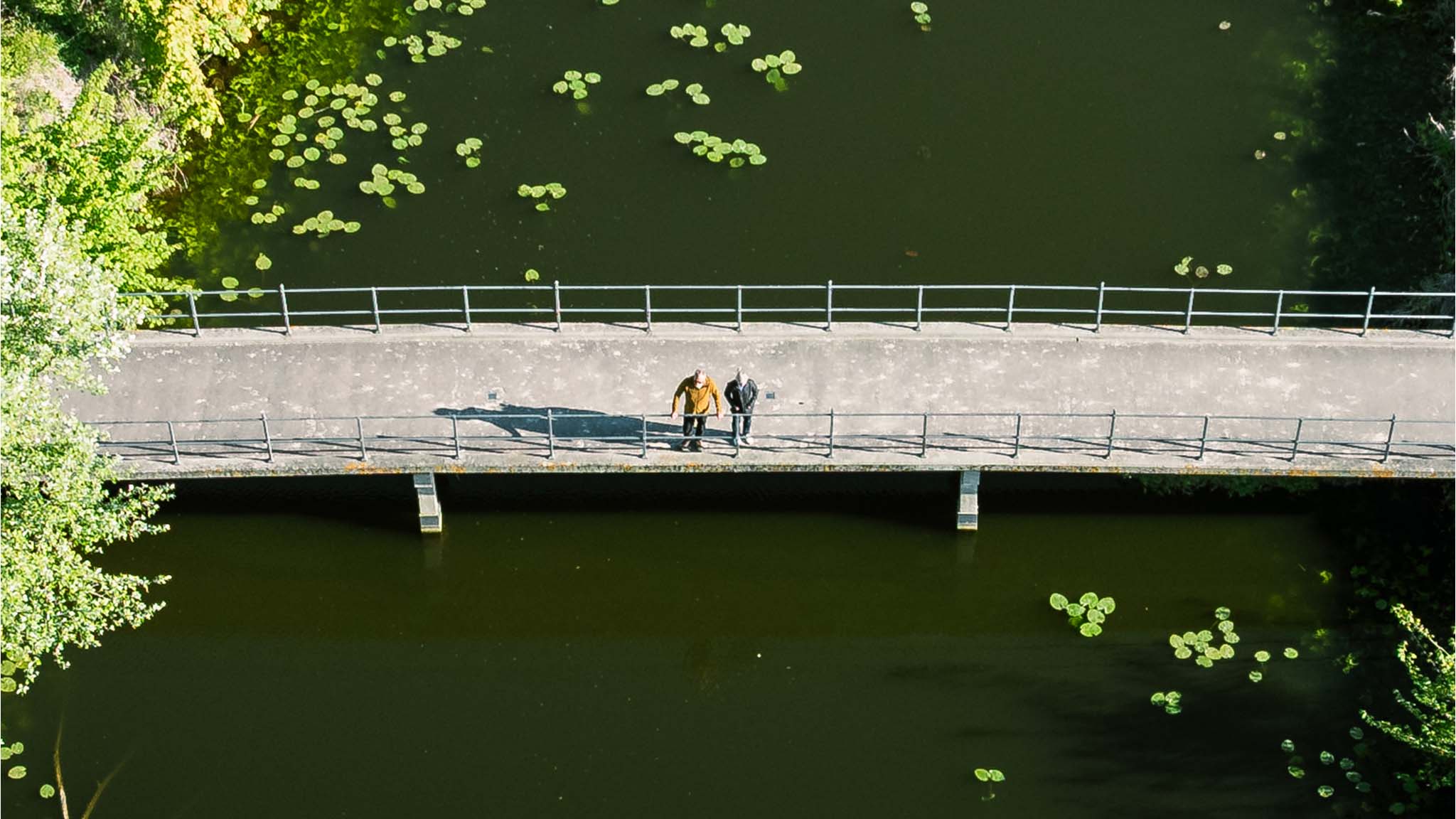 Forår ved Nyborg vold, Nyborg, Fyn, Danmark