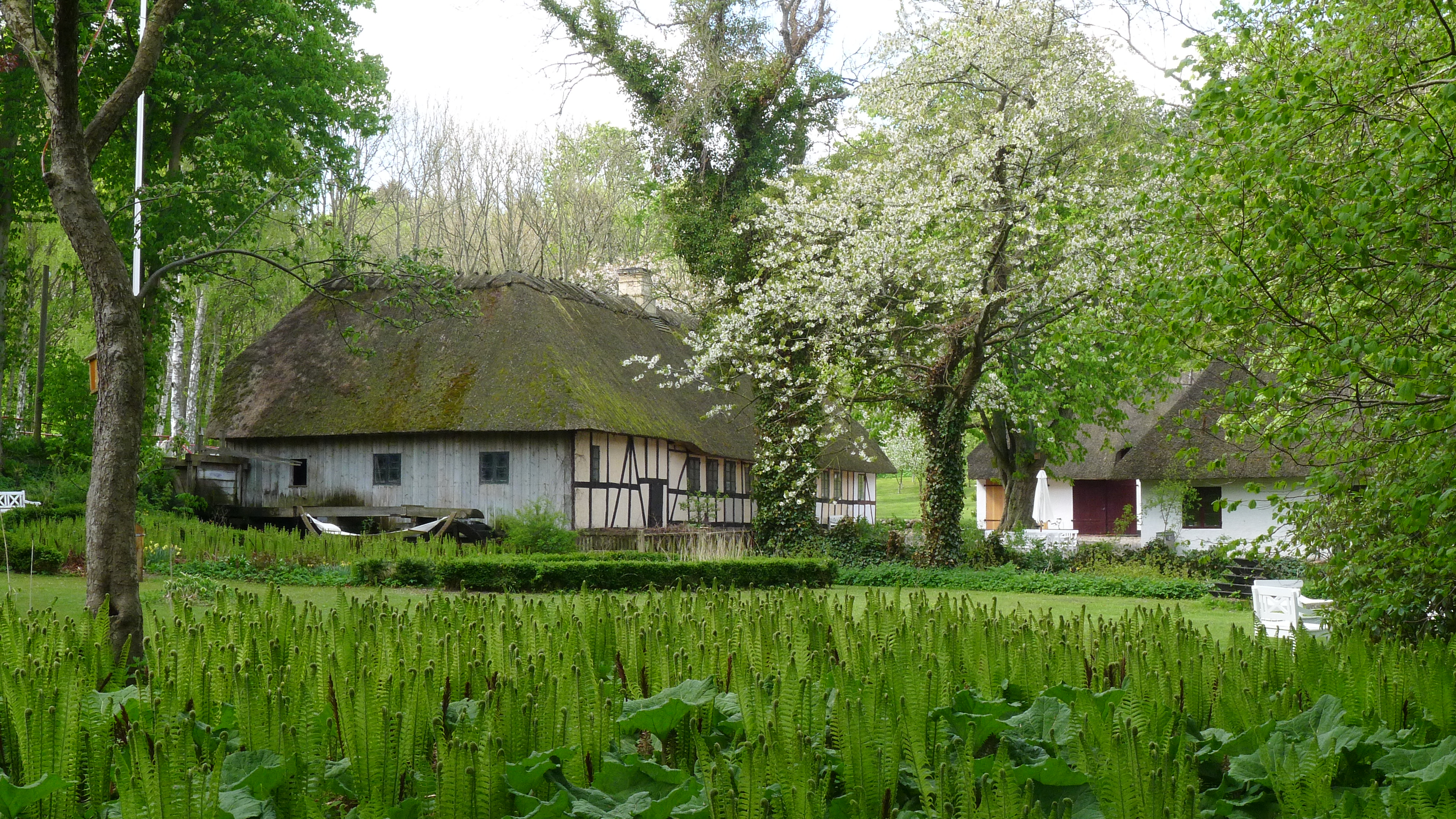 Journey to the Springs (37,2 km)