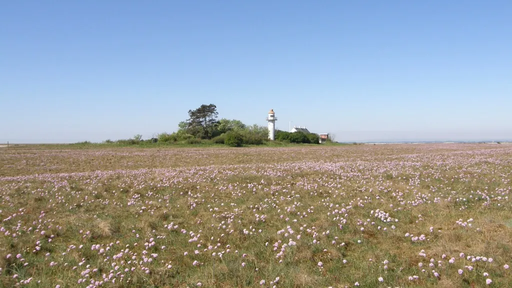 Albuen – natural area