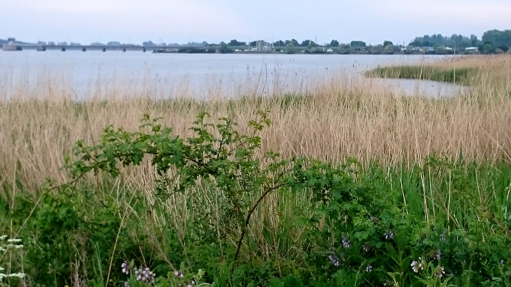 Færgegården Bed and Breakfast